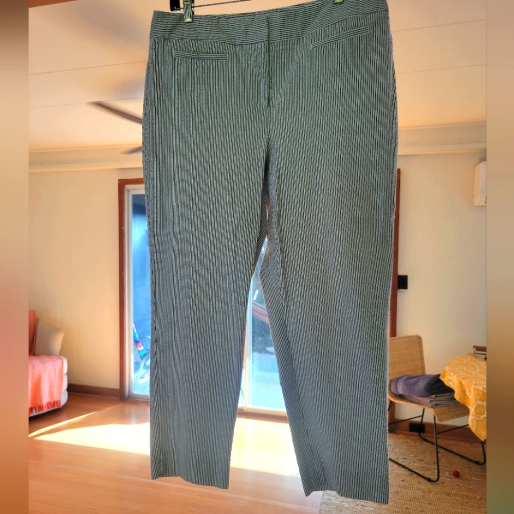 Ann Taylor Seersucker Striped Cropped Pants Size 12 - Picture 3 of 6
